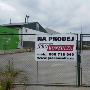 17300