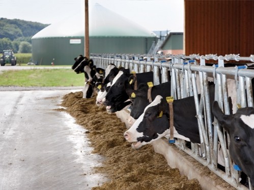 Ostrý pokles na německém trhu s bioplynovými stanicemi