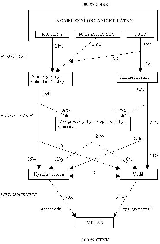 Bilance CHSK v průběhu tvorby metanu anaerobním rozkladem komplexních organických látek